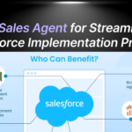 Pre-Sales Agent for Streamlined Salesforce Implementation Projects